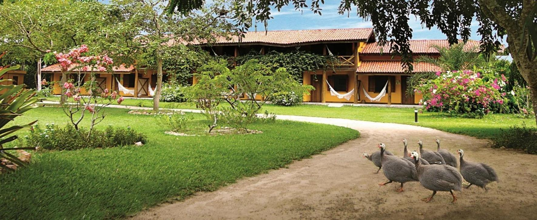 Fazenda Hotel Candeal Conceicao de Jacuipe Exterior foto